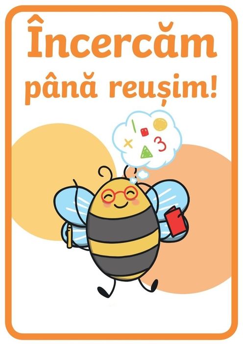 Planșe didactice