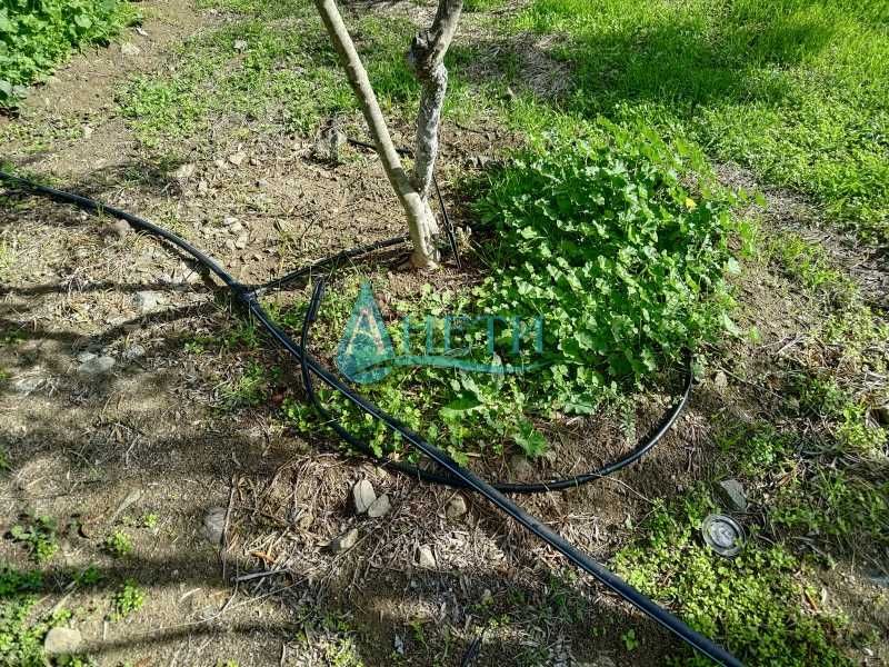 Парцел 2500м2+119маслинови дървета Волви Аспровалта Гърция, полив.с-ма