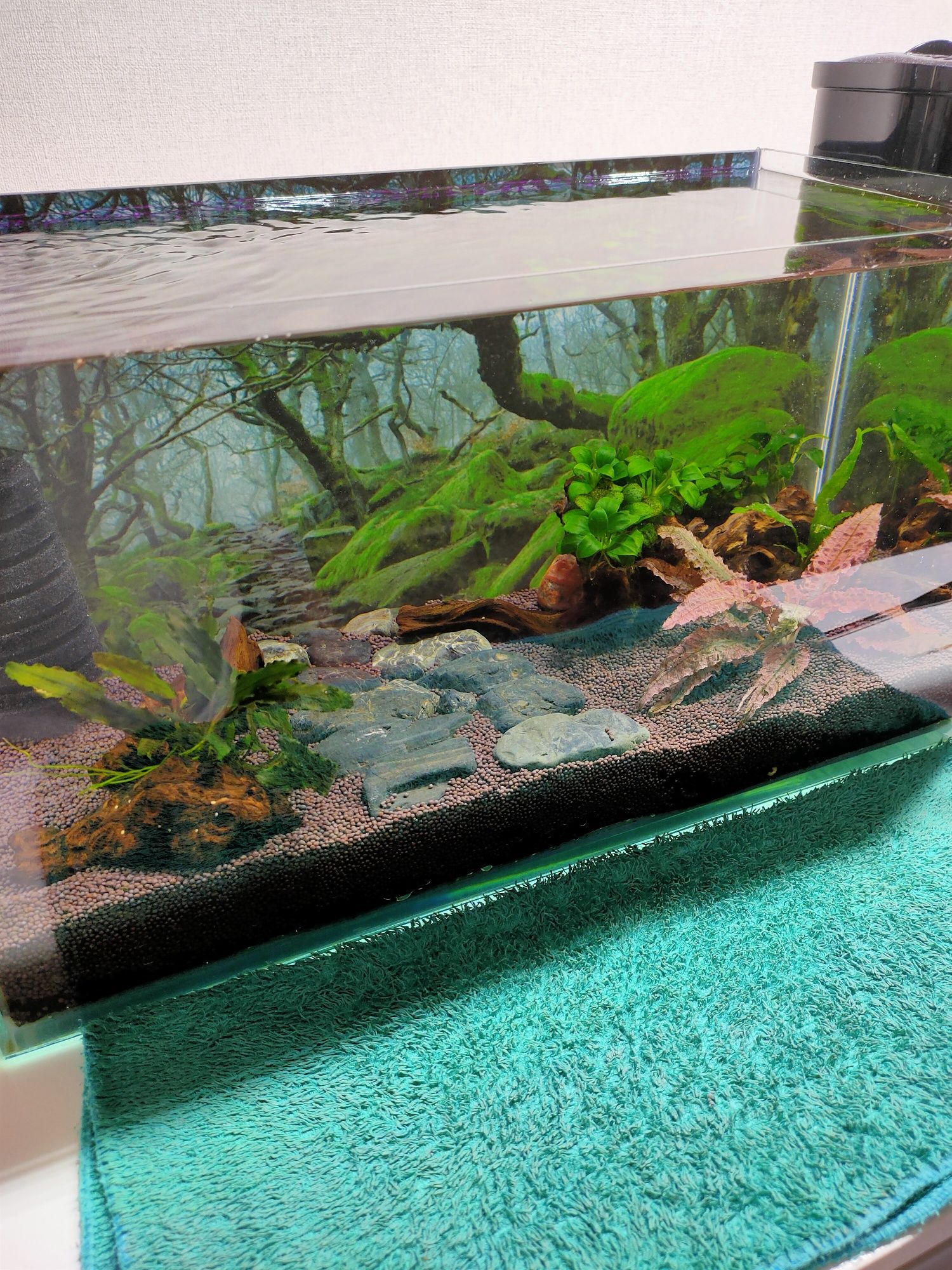 Нано аквариум готовый