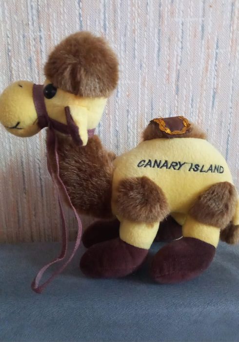 Сувенир верблюд новый