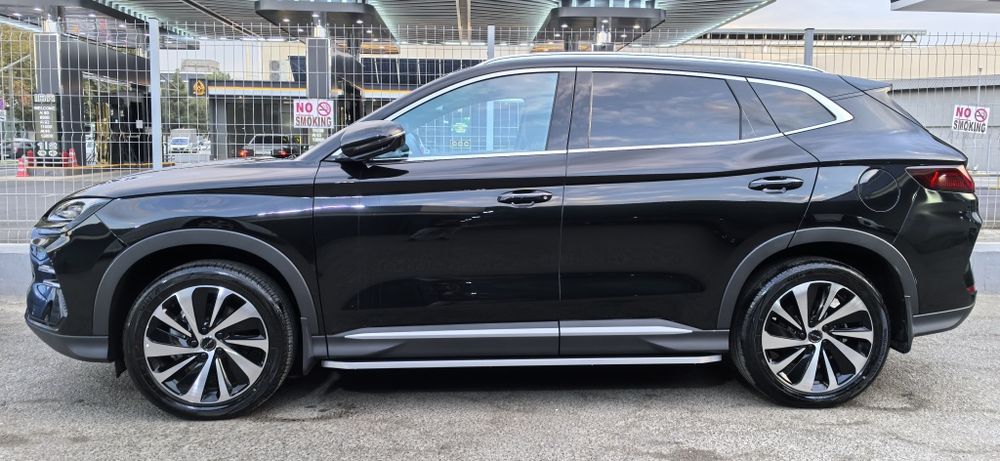 Водитель со своим авто ( новая BYD EV Champion )
