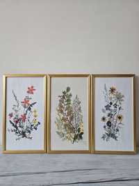 Tablouri ilustrație botanica