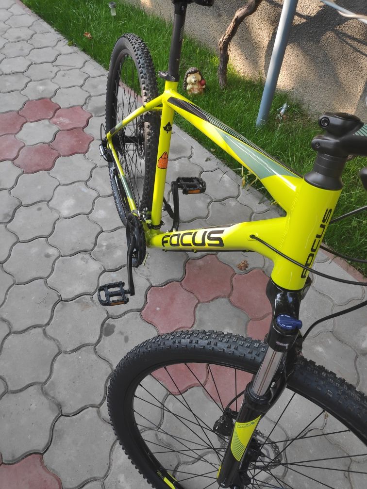 Focus whistler hidraulic cadru xl roți 29"