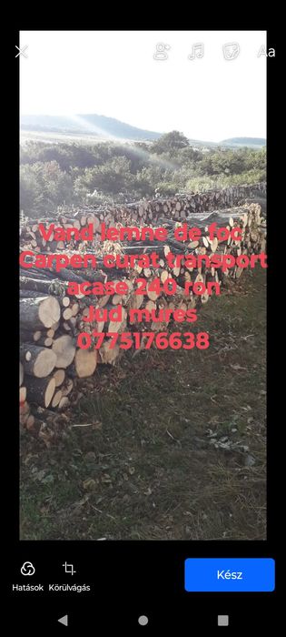 Lemne de foc carpen