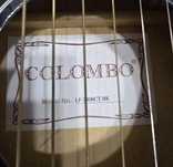 Акустическая гитара Colombo