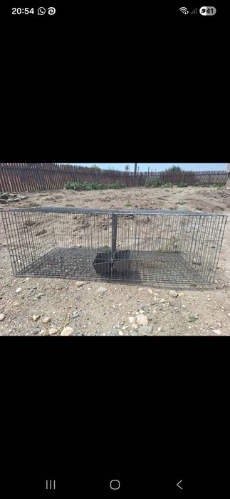 Cusca iepuri ,pasari