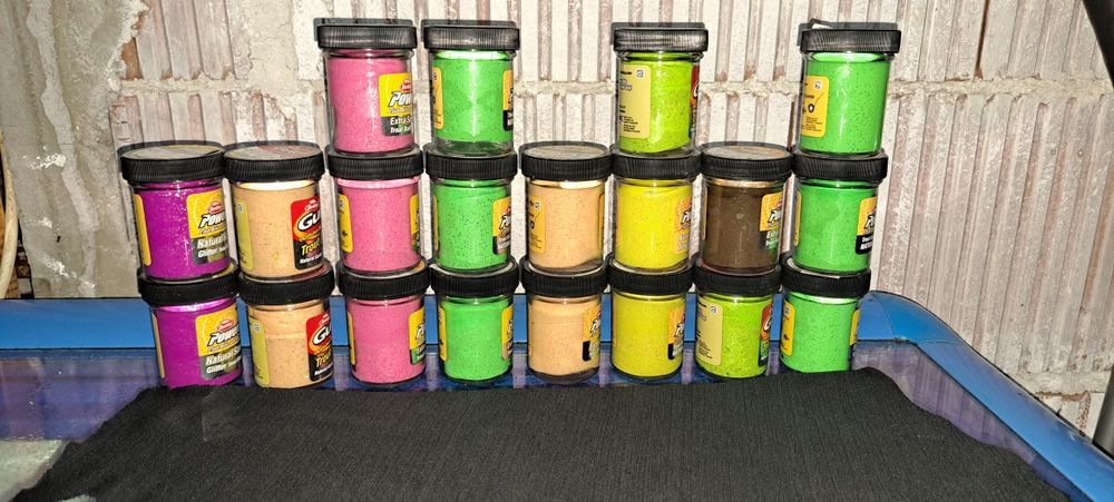 Пасти за пъстърва