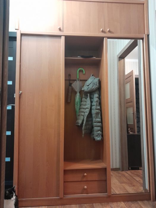 Шкаф купе в прихожую