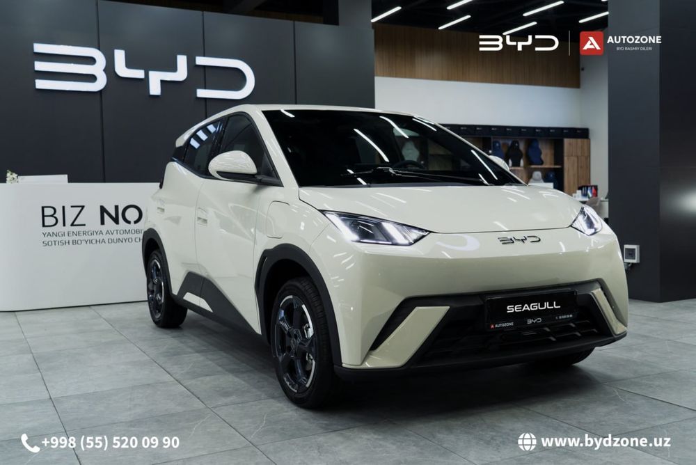 BYD Seagull 405km