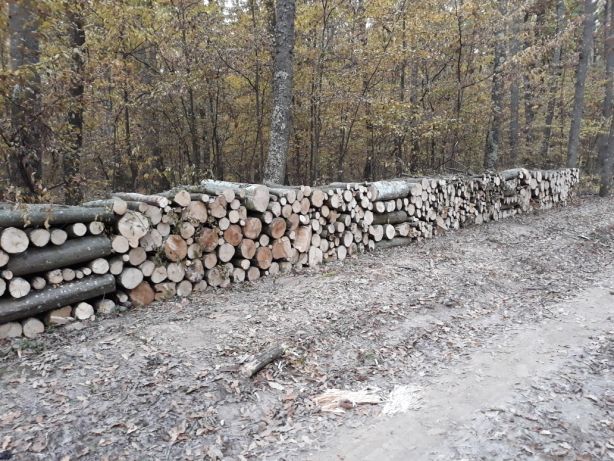 Vînd lemn de foc de calitate