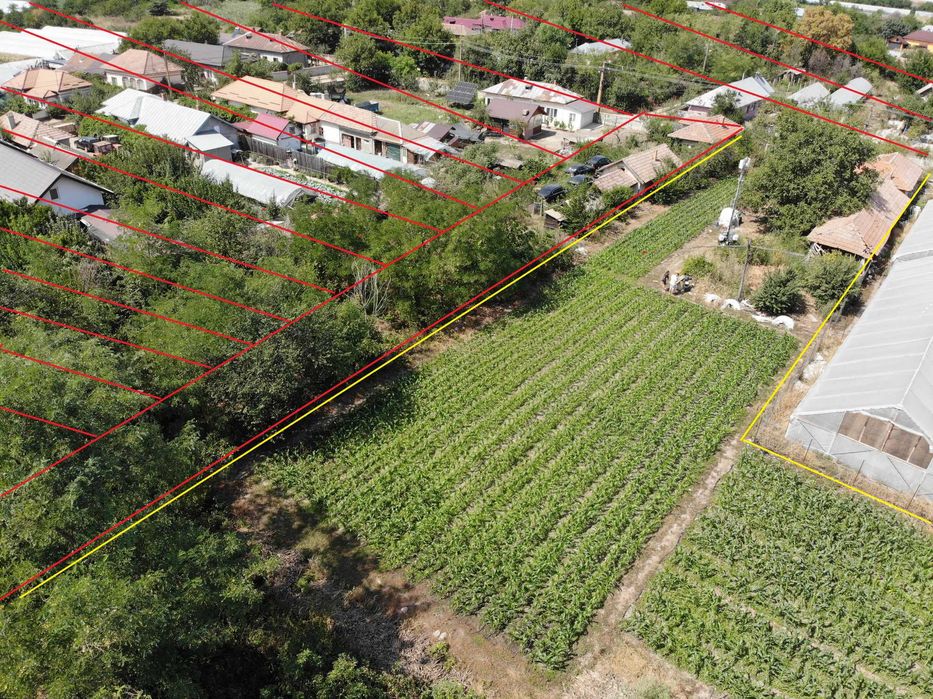 Teren in Com. Mârzănești, Sat Cernetu, 2000 mp 12km de Alexandria