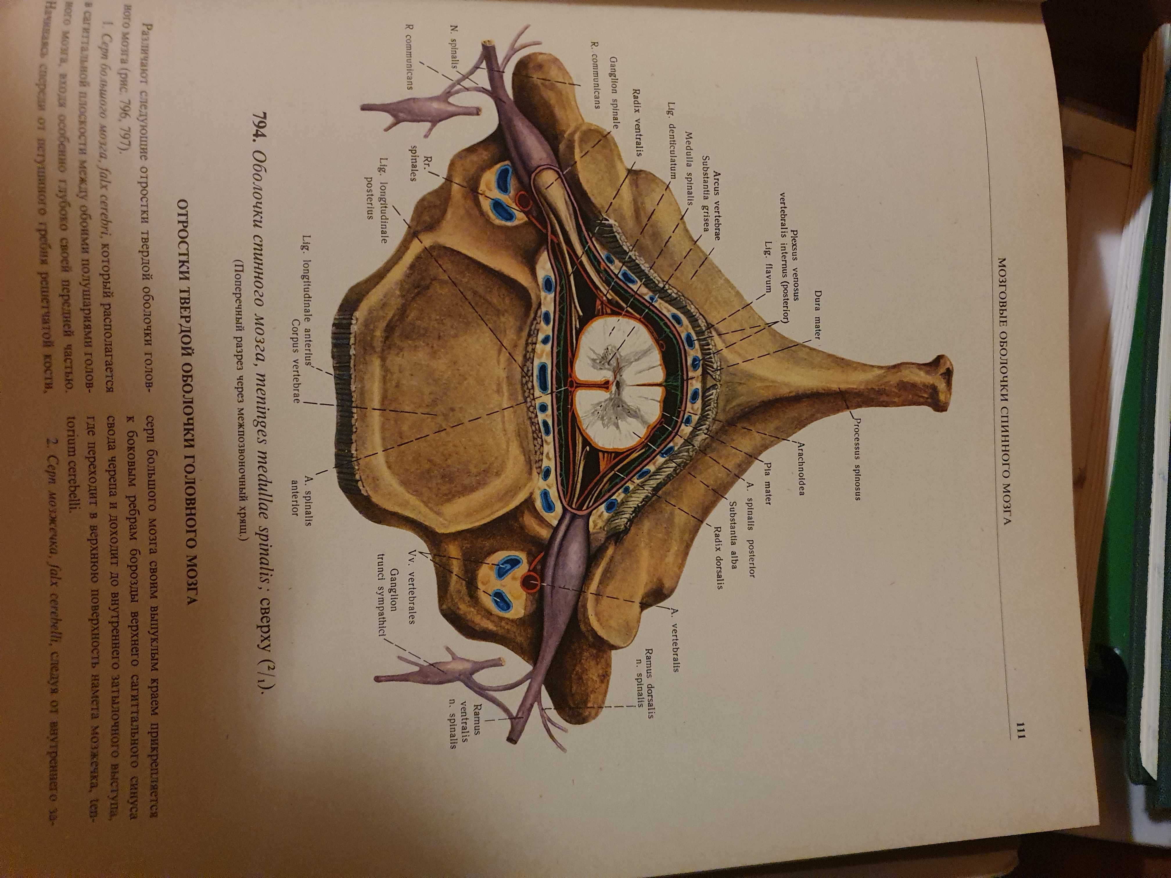 Атласи и учебник по анатомия за студенти по медицина