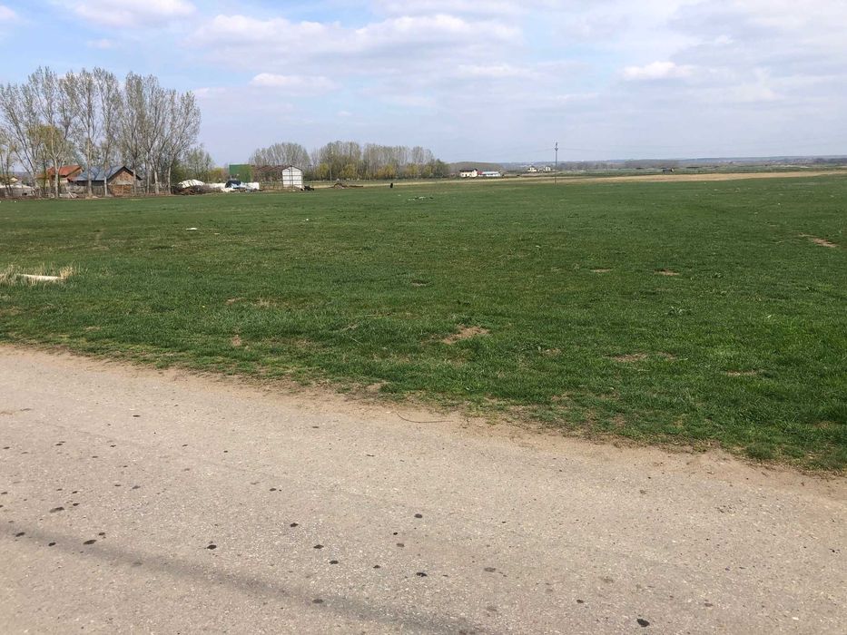 Teren 3000 mp Podari-Livezi