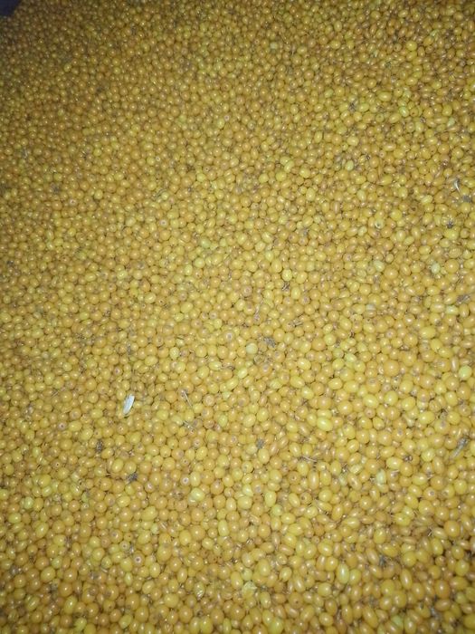 Care doreste cine stie so prepare