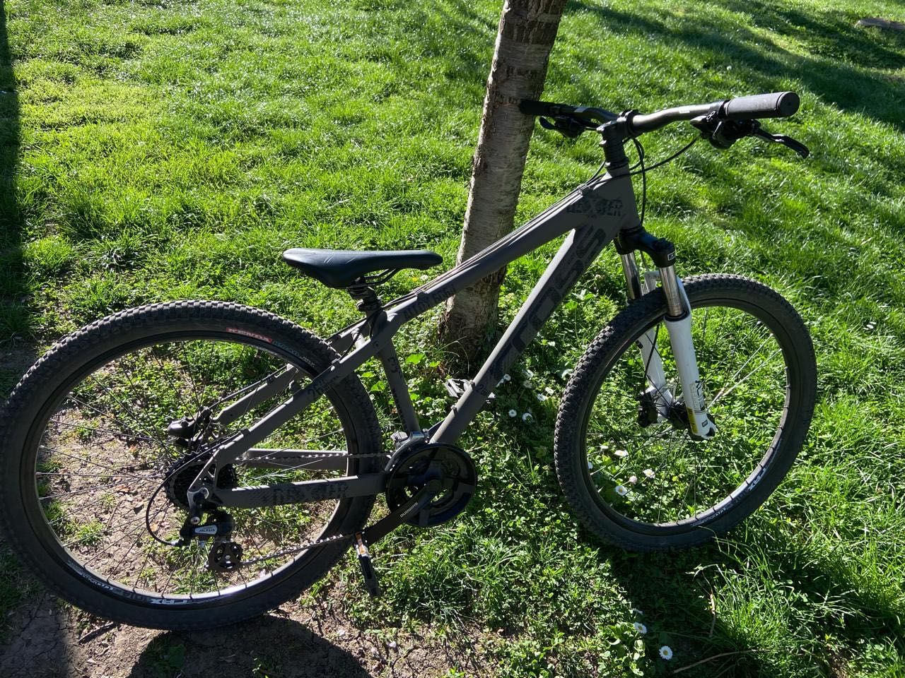 Cross Dexter 26’’