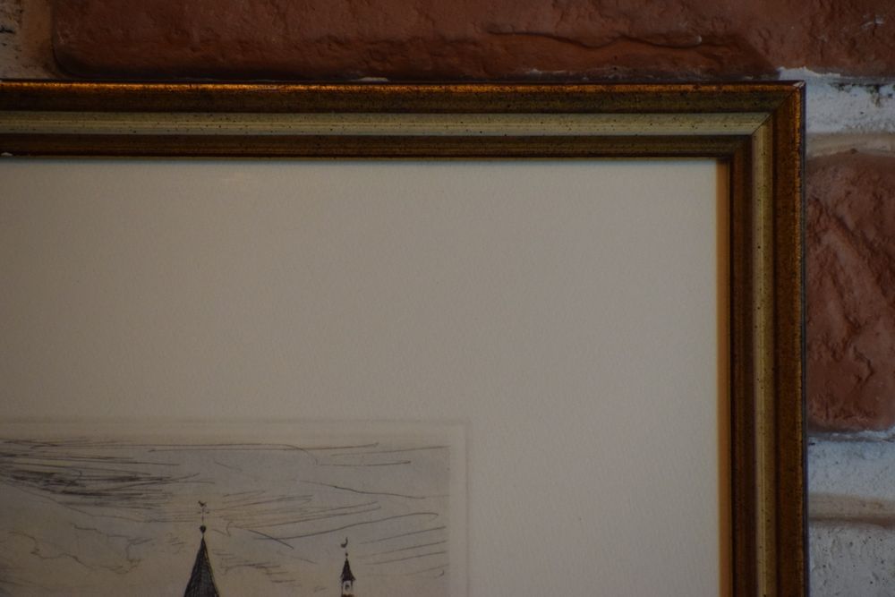 Tablou vintage gravura