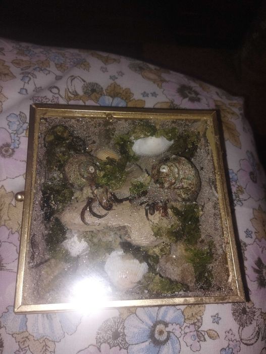 Етично изкуство върху кости