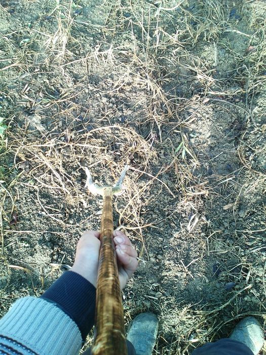 Baston ciomag bâtă toiag