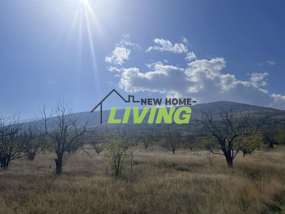 Парцел в Пловдив, област-с.Брестник площ 1270 цена 55000