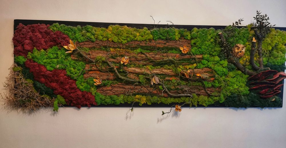 Vând tablou licheni