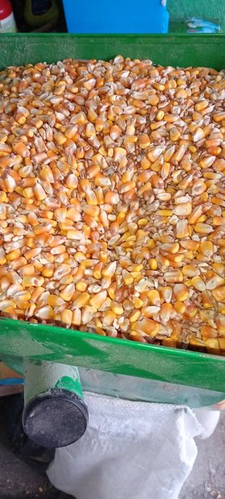 Crescător prepelite cu atestat producător