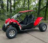 Бъги 300cc модел 2025 г.