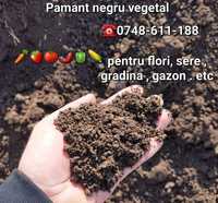 Pamant negru vegetal