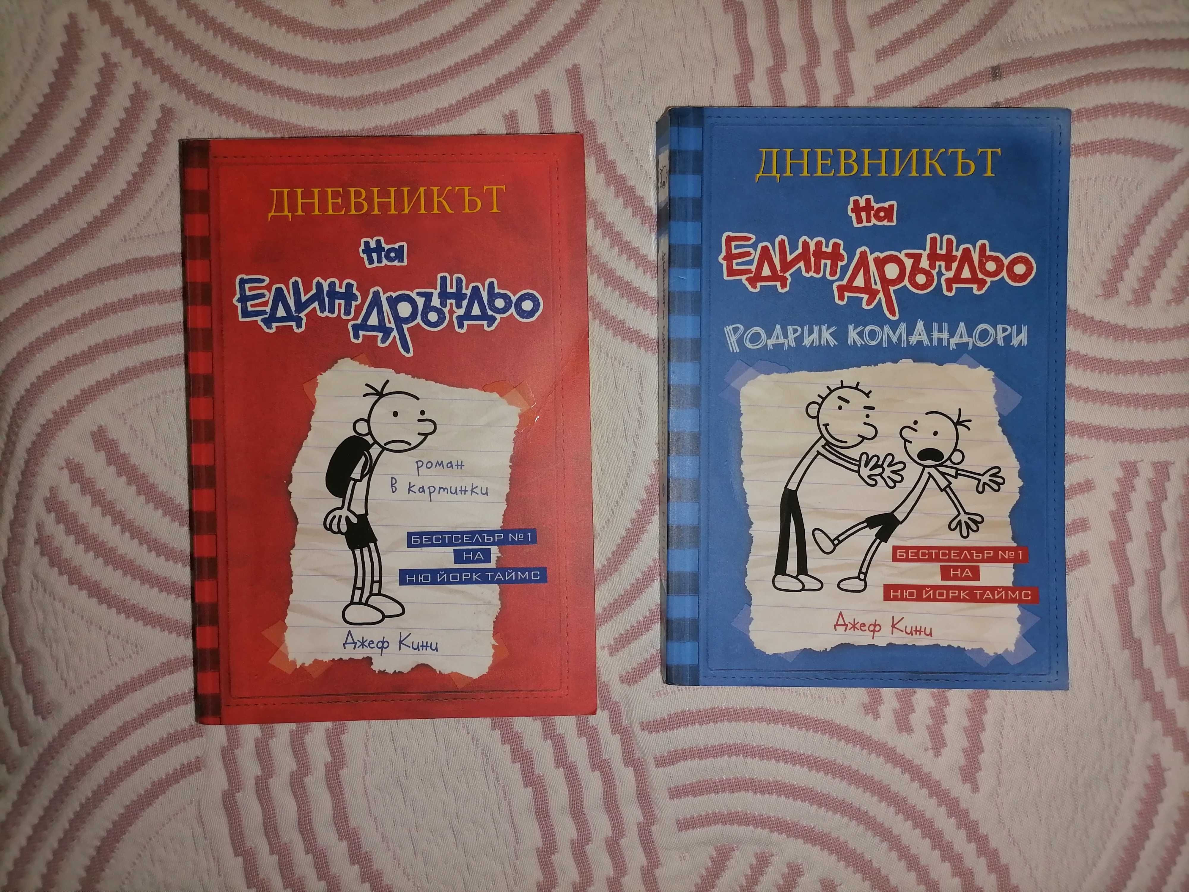 Дневникът на един дръндьо