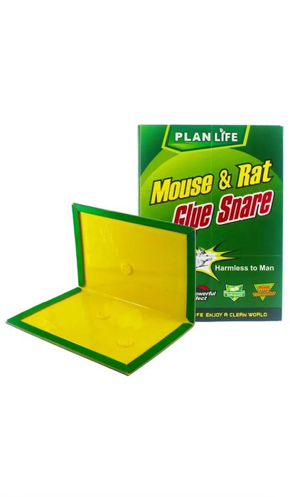 Мышиловка-липучка