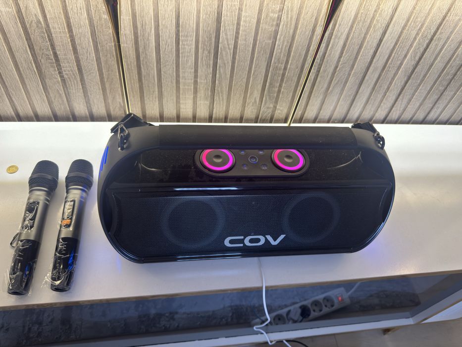 Портативная колонка с 2 микрофонами