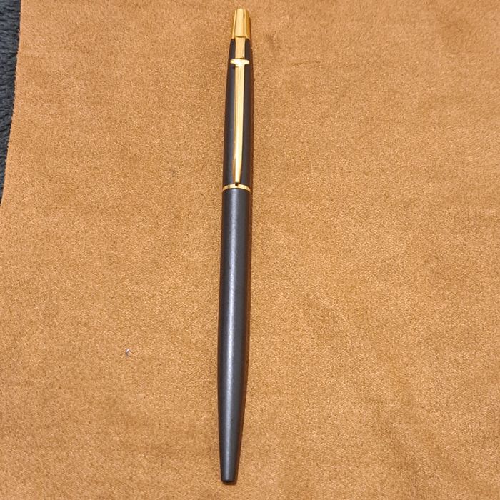 Pix Caran dachd swiss.