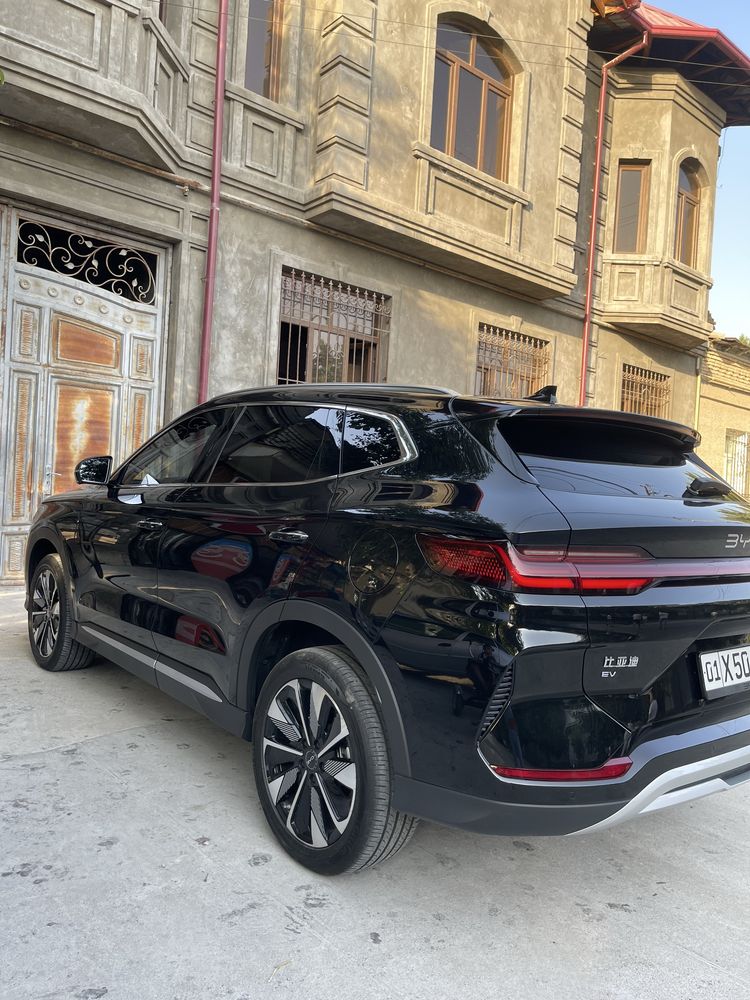 BYD CHAMPIYON 24 25 restalin