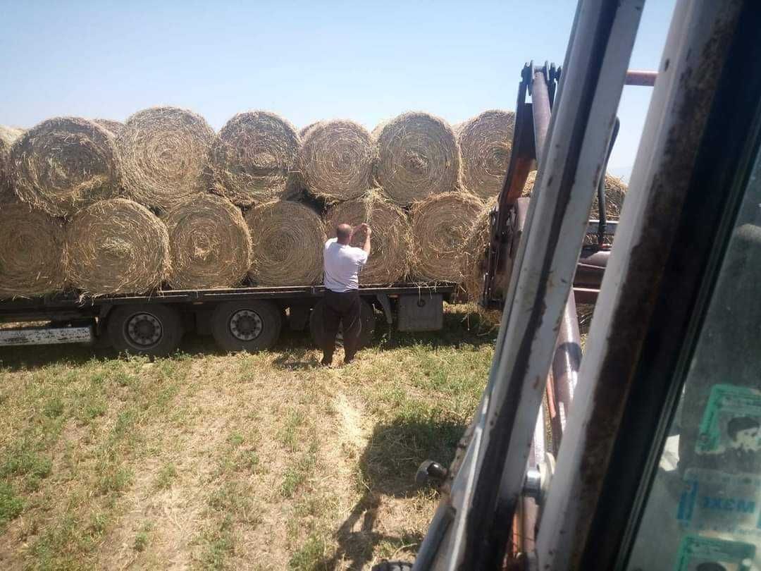 Продавам люцерна със сено  на ролонни бали регион Пазарджик