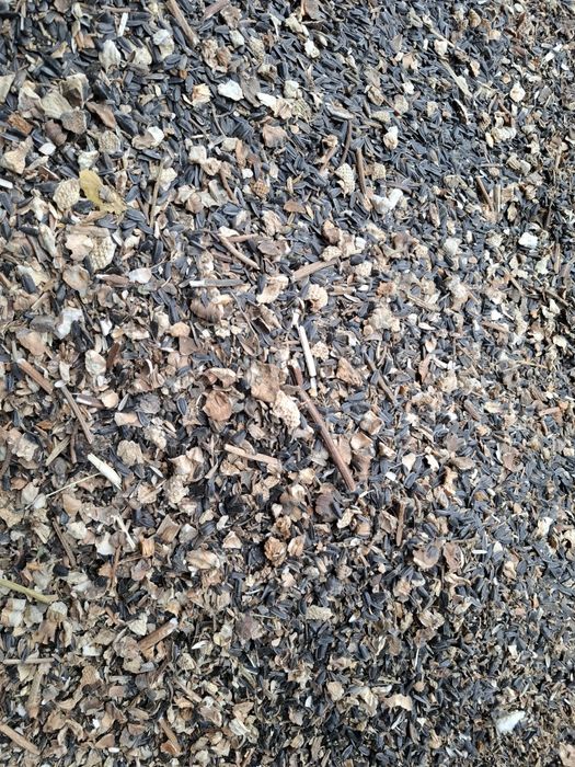 Слънчогледова отсевка дребна/едра