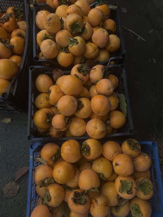 Райски ябълки – пресни и сладки! 2 лв/кг