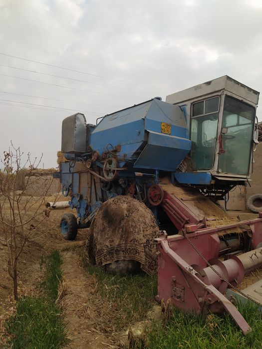 kanbayin 1200 sotiladi