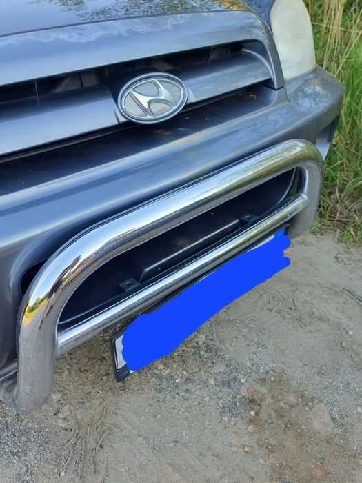 Vand bullbar auto