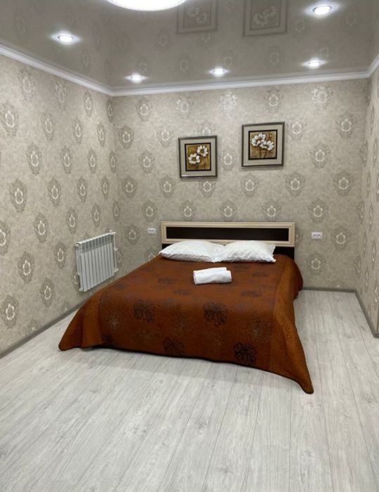 1-нушка ЛЮКС в центре. Абая. WI-FI