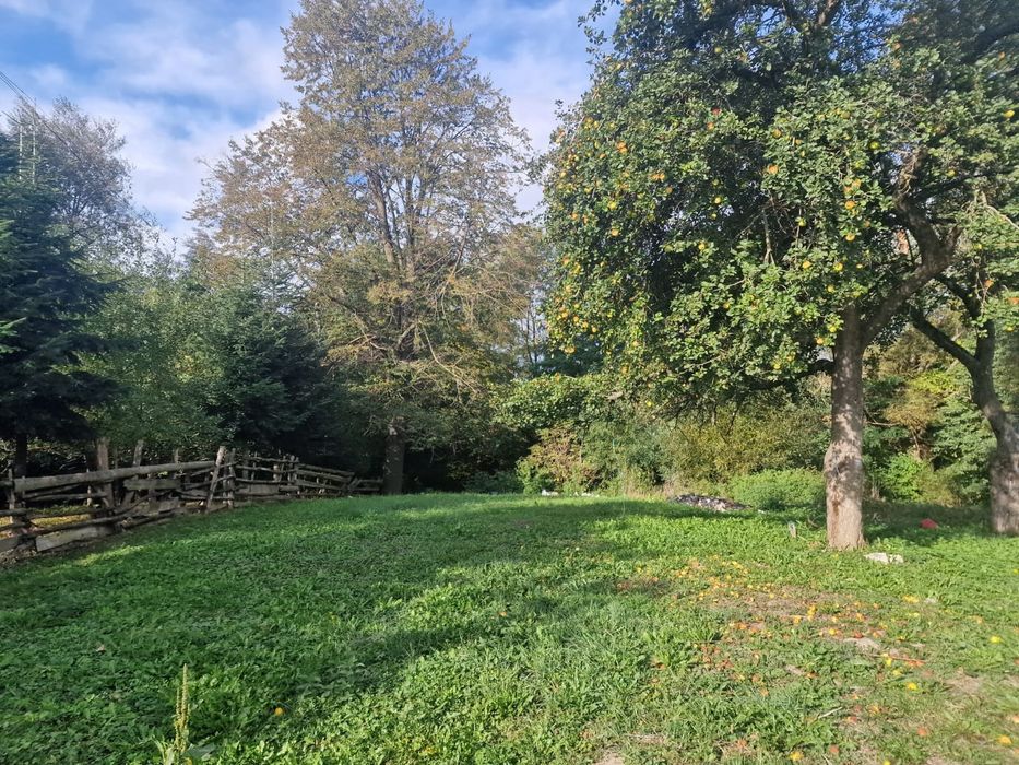 Casa+teren 14 ari HORODNIC DE SUS