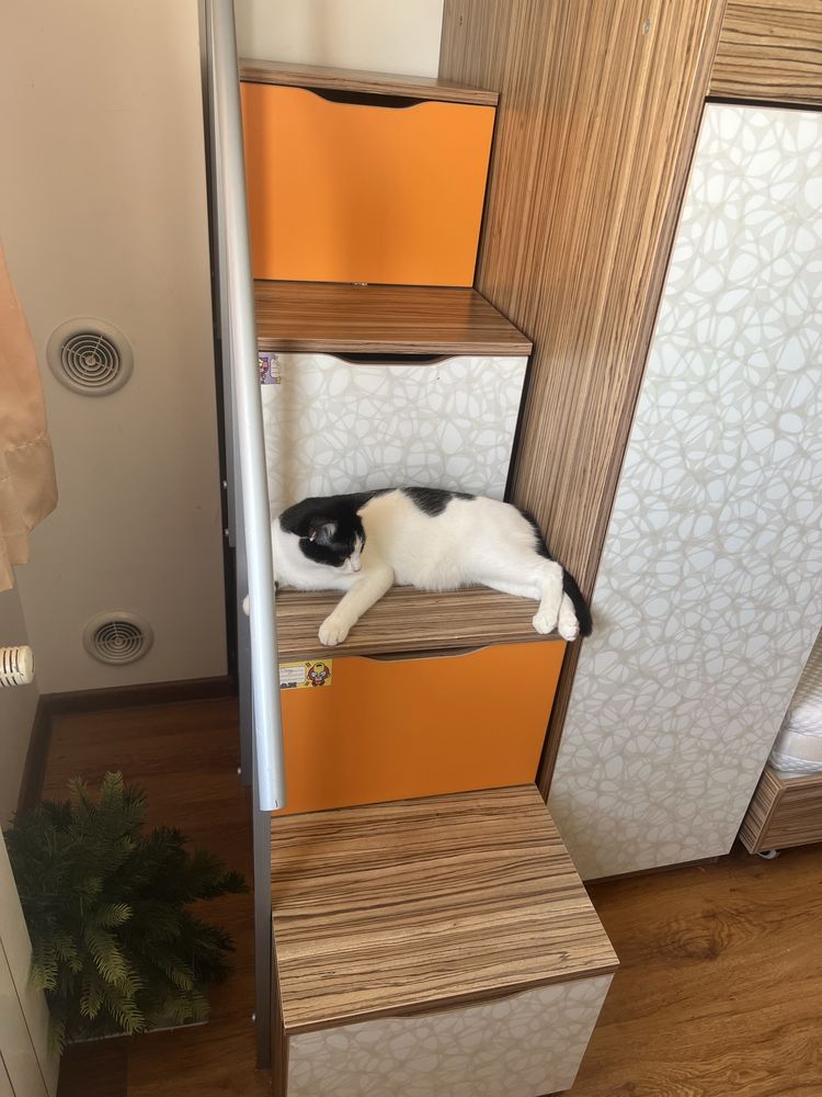 Детско двуетажно легло/детска стая обзавеждане