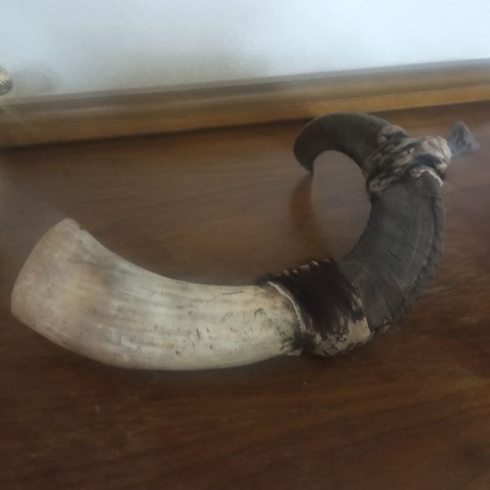 Сувенир рог буйвола из Перу