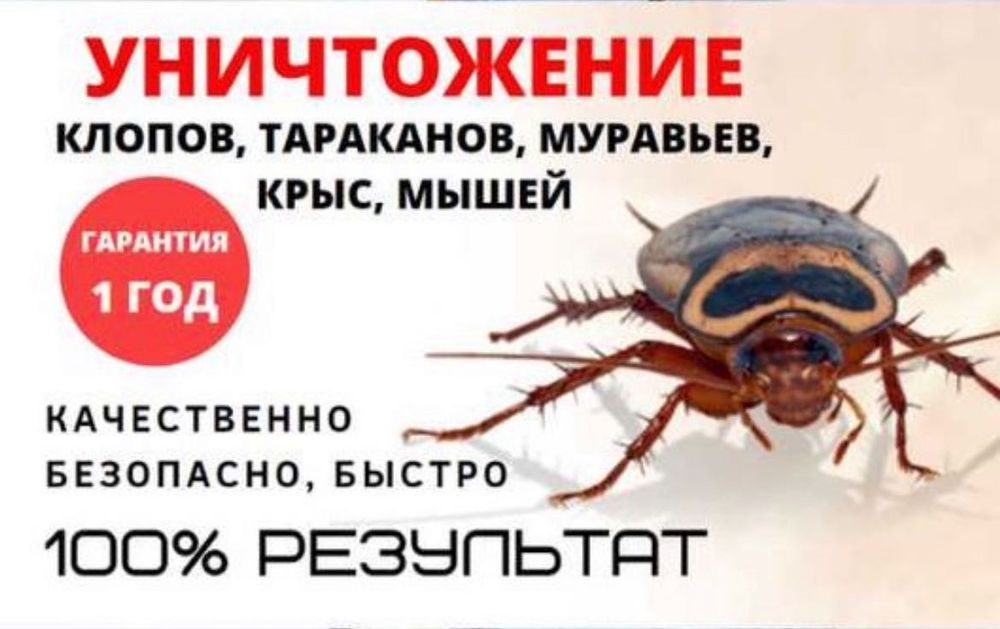 СЭС: Уничтожение тараканов, клопов, блох с гарантией