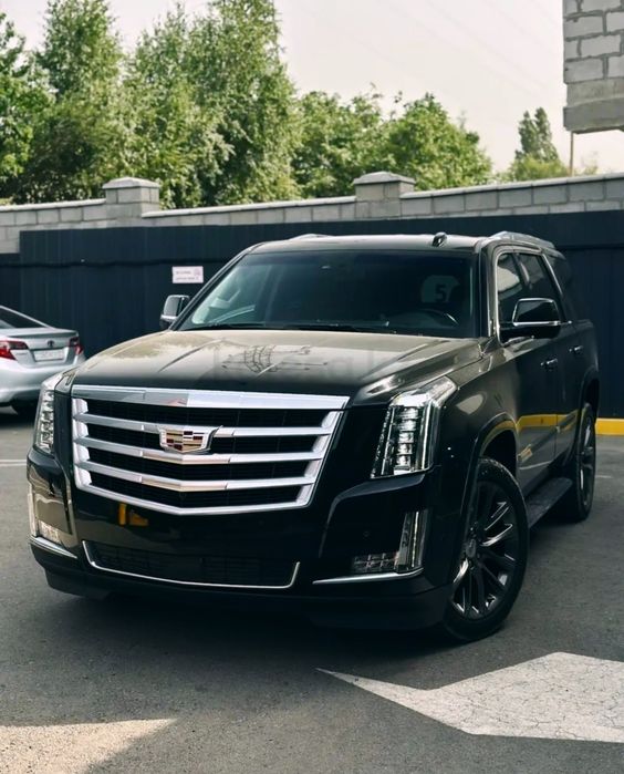 Аренда авто. Кортеж. Гулянка. Роддом.