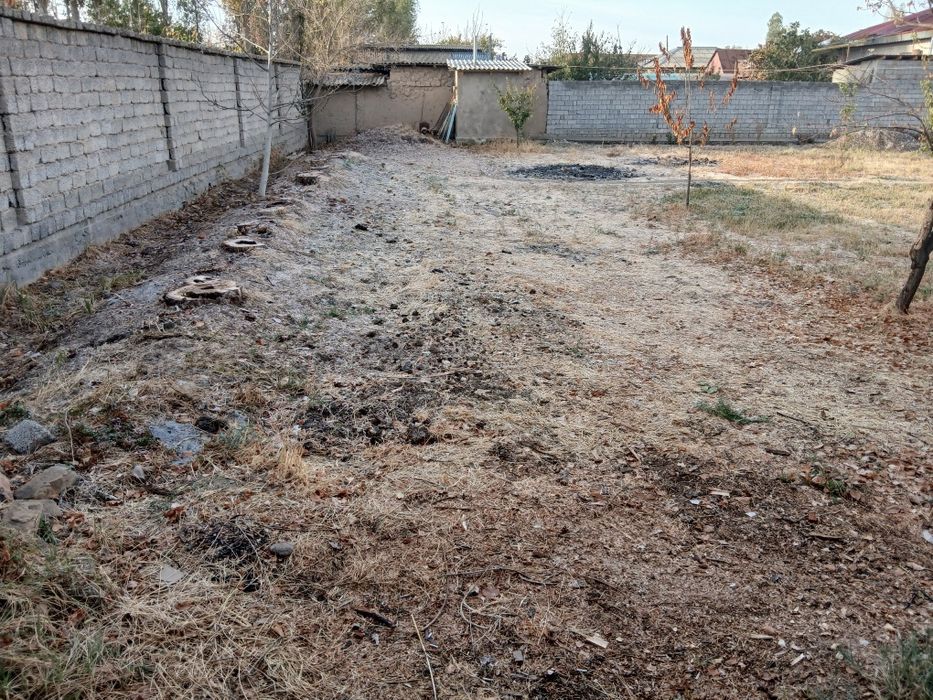 Продаётся земля в Новом Ташкенте (Политотдел)