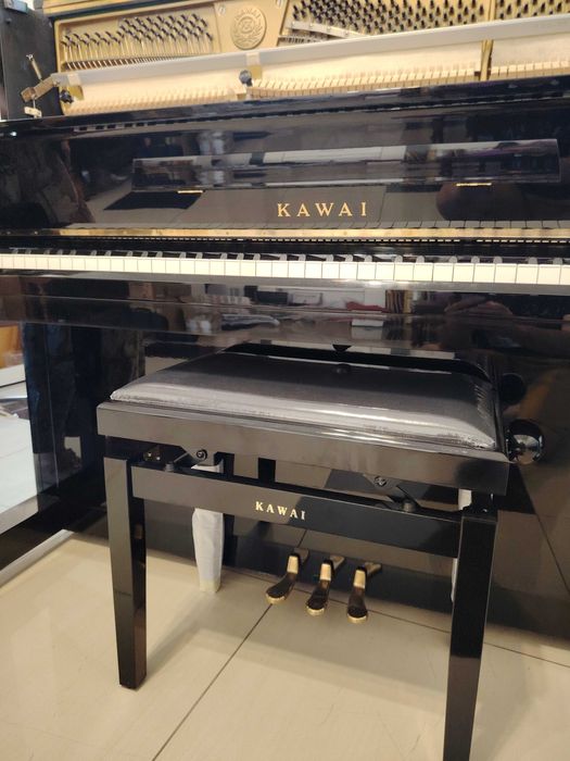 Pianina un prieten