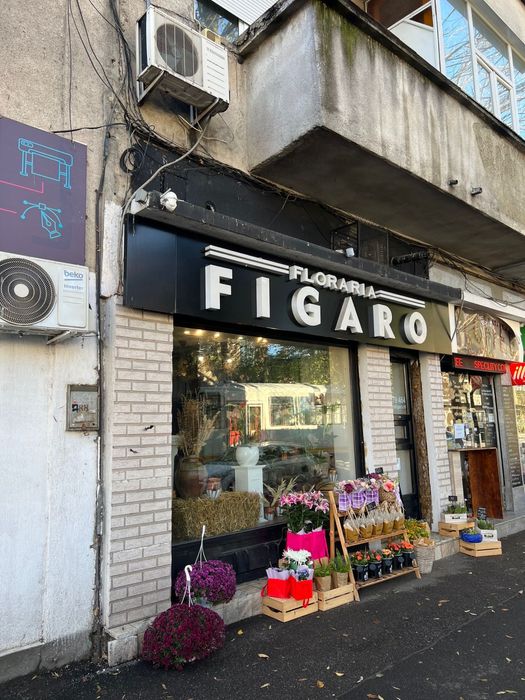 Spatiu comercial Pache Protopopescu