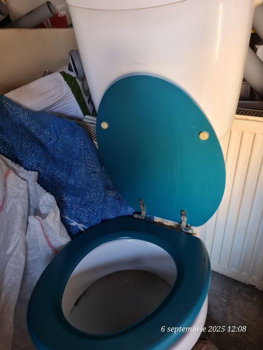 Chiuveta baie vas wc