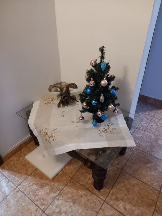 Masa de sticla 100x50