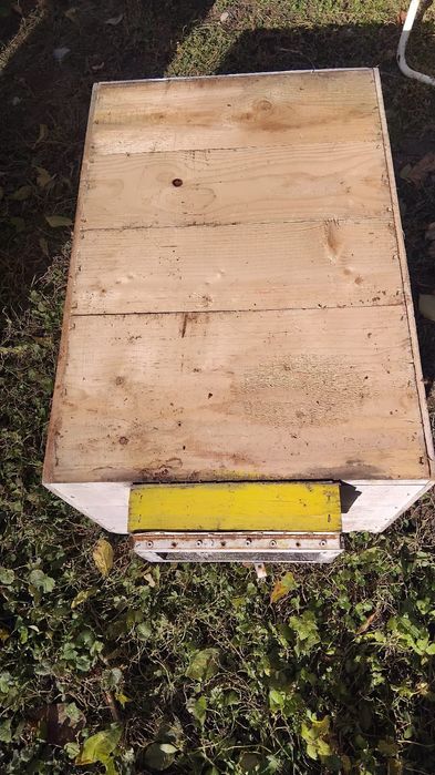 Lăzi și rame apicultura
