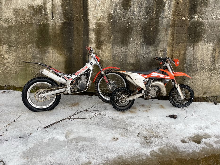Beta Rev 3 250 trial